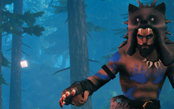 Valheim hero